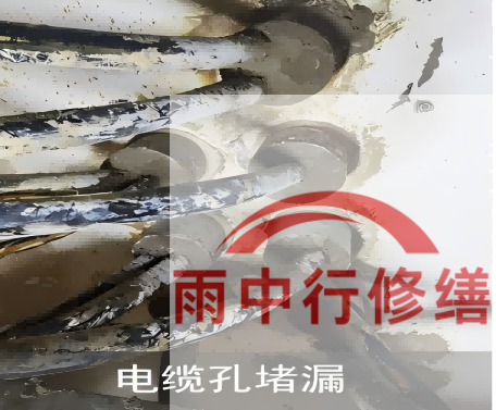 西城电缆线空洞堵漏加固案例