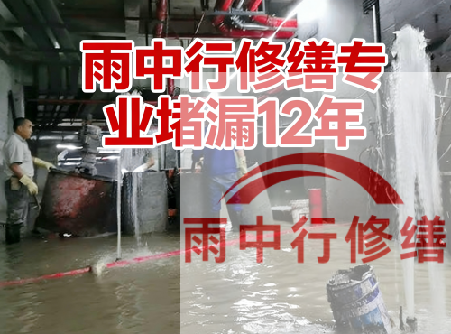 西城中国五矿某大型污水处理厂堵漏案例